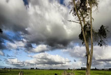 委内瑞拉足球世界排名现在处于什么位置？背后有哪些影响因素？