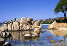 2020年都有哪些重要足球比赛？时间表是怎样的？